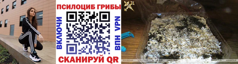 Псилоцибиновые грибы мухоморы  Заводоуковск 