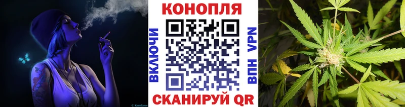 omg сайт  Заводоуковск  Марихуана планчик 
